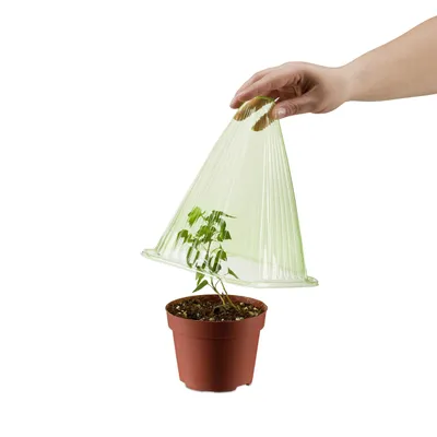 Produktbild von 100 x Pflanzenhut, Schneckenschutz, Frostschutz, HxBxT: 22 x 19 x 19 cm, Pflanzenschutzhauben PVC, Anzuchthaube, grün
