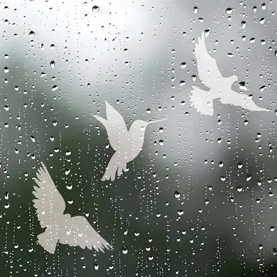 16er-Pack Anti-Kollisions-Fensteraufkleber für Vögel, transparent