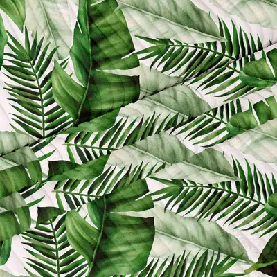Produktbild von DreamRoots Cordstoff mit Blattmotiv Weiß 1 m x 140 cm