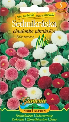 Immagine prodotto di Margherita povera di fiori, miscela