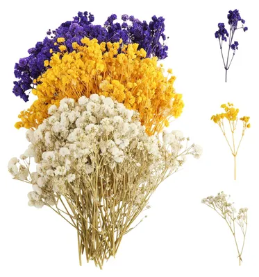 100 getrocknete Schleierkrautblüten, natürliche Trockenblumen für DIY