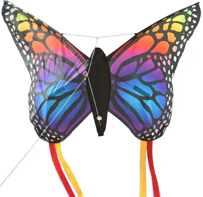 Produktbild von Elliot Drachen Schmetterling 80 x 80 cm rainbow rtf