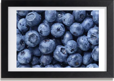 Produktbild von Bild 30x20 MDF-Rahmen, Wandkunst Blaubeeren