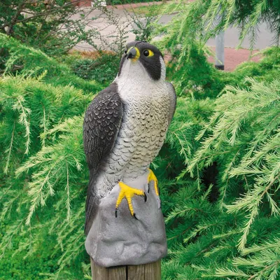 Immagine prodotto di Ubbink figura animale falco 40 cm