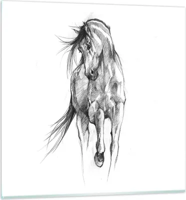 Produktbild von Bilder auf glas - Einteilig - Pferd Galopp Tier - 40x40cm - Glasbilder - Wandbilder - Bilder - zum Aufhängen bereit - Wanddekoration aus Glas - Glas Bilder - Wandbild auf Glas - GAC40x40-5080