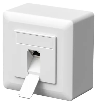 Immagine prodotto di Presa di rete Cat6a - Da incasso o da parete - RJ45 1 porta - Bianca - 80 x 80 mm