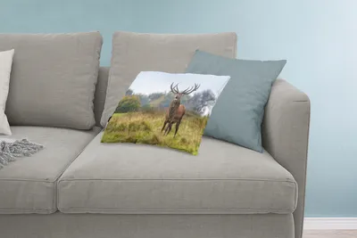 Produktbild von MuchoWow® Zierkissen Sofakissen Wohnzimmer Dekokissen 60x40 cm Hirsche - Geweihe - Gras - Kopfkissen - Polster mit Foto
