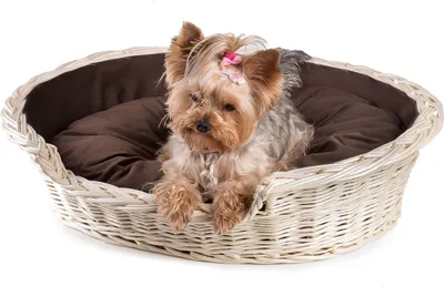 Produktbild von JIPRO® Katzenkorb, Hundebett aus Weide mit schokoladenfarbe Kissen Dant I. - B 75 x T 54 x H 22(cm)