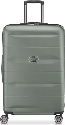Immagine prodotto di DELSEY PARIS carrello Comete + 4 Double Rolls Trolley 77 Iguana grigio verde