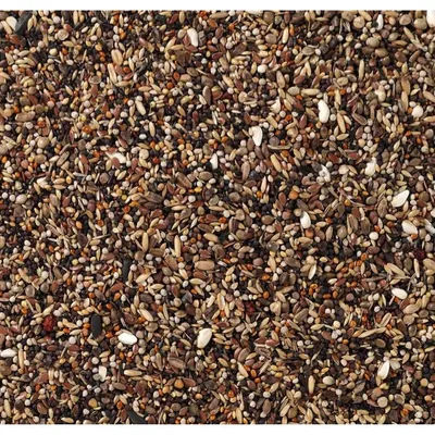Productafbeelding van Deli Nature Birdelicious Pyrrhula Goudvinken 2KG