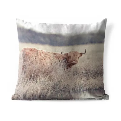 Obrázek produktu pro MuchoWow® Vnější polštář - Skotský horal - Krajina - Tráva -50x50 cm- Odolnost proti povětrnostním vlivům - polštář do obývacího pokoje