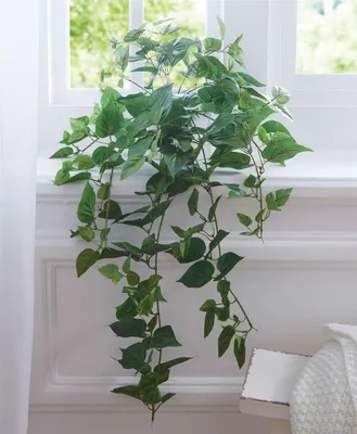 Image de Plante artificielle "Efeuranke" 70 cm, lierre artificiel, guirlande artificielle, plante verte décorative, faux efeutute, plante d'intérieur