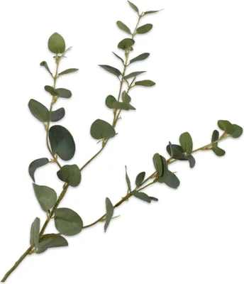 Produktbild von Silk-ka Künstliche Blumen – Seidenblumen Eukalyptuszweig grün 79 cm pro 2 Stück