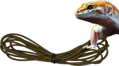 Zdjęcie produktu dla ZOOMED Repti Heat Cable 15W - kabel grzewczy 3,5m zoomed