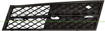 Produktbild von PRASCO Lüftungsgitter Grill Stoßfänger für BMW 5 Touring (F11)