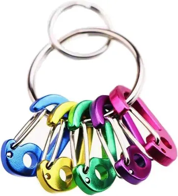 Productafbeelding van Mini Karabijnhaken Aluminium Sleutelhanger Clips - 2 Sets voor Outdoor Activiteiten