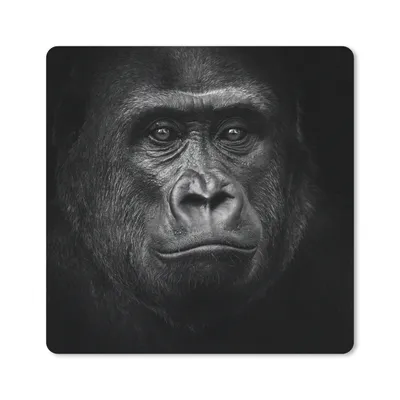 Produktbild von MuchoWow® Mauspad Mousepad Gorilla - Schwarz - Weiß - Tiere - Porträt 20x20 cm - Mousepads - Maus Mat - Pad - Mausunterlage - Desk Mat - Bureauartikeln