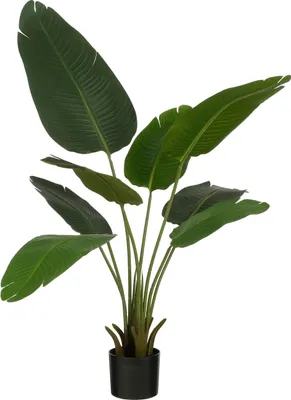 Produktbild von Mica Decorations Kunstpflanze Bananenbaum - H120 x Ø30 - Grün