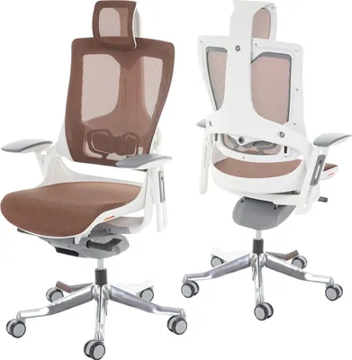 Two views of an ergonomic office chair against a white background.