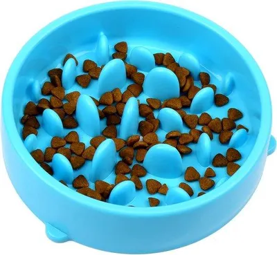 Produktbild von Famanu Slow Feeder Hundenapf mit rutschfester Unterseite - Keramisch, für Hunde und Katzen
