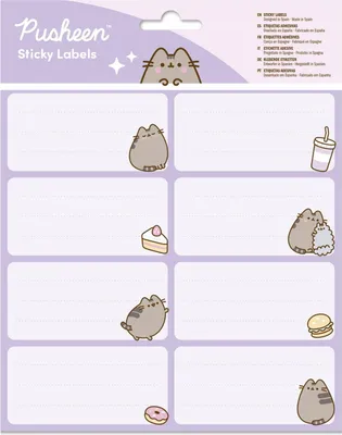 Zdjęcie produktu dla Naklejka na zeszyt Pusheen Erik