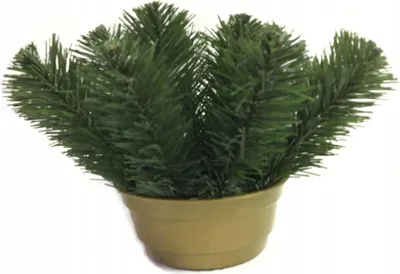 Produktbild von Topfschale mit beschwertem Dekor 15,5 cm
