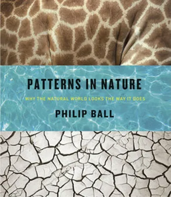 Obrázok produktu pre Patterns in Nature