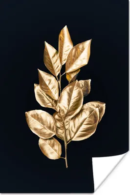 Produktbild von MuchoWow® Poster Pflanze - Blätter - Gold - Schwarz - Luxus 80x120 cm - Papierdruck