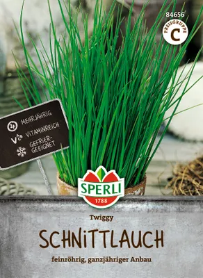 Produktbild von SPERLI Schnittlauchsamen Twiggy Allium schoenoprasum 5-7 lfd. Meter