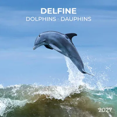 Immagine prodotto di Delfini / Dolphins 2027