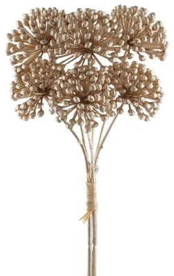 Produktbild von Gasper Alliumbund 25 cm champangerfarben - Kunstpflanze
