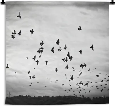 Produktbild von MuchoWow® Wandteppich Wandbehang Tiere - Vögel - Wolken - Schwarz - Weiß 60x60 cm Tapisserie Dekoration Wandtuch - Dekorationen - Wand Decke