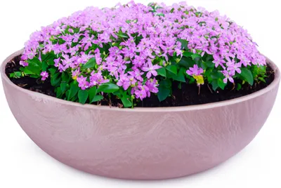 Immagine prodotto di Ciotola per piante da esterno Ciotola decorativa rotonda rosa antico marmorizzato 20 cm