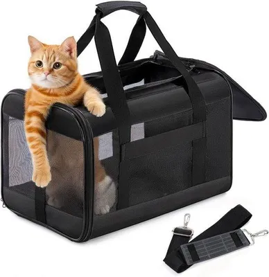 Produktbild von Kleiner Transportkoffer für Katzen und Hunde, 7 kg, schwarz, opklappbar