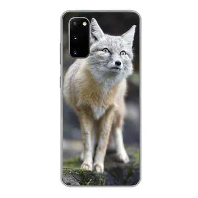 Produktbild von MuchoWow® Handyhülle Schutzhülle Hülle für Samsung Galaxy S20 Fuchs - Makro - Baum Silikon Softcase Handy Hülle - Bild