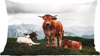 Produktbild von MuchoWow® Zierkissen Sofakissen Wohnzimmer Dekokissen 50x30 cm Tiere - Kuh - Berg - Wohnzimmerdekoration - Polster mit Photo