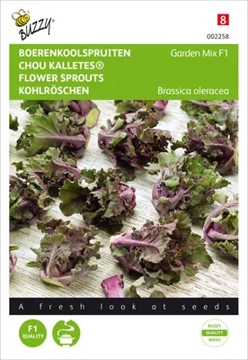 Produktbild von Rosenkohl Kalettes Garden Mix F1 | Rosenkohlsamen von Buzzy Seeds