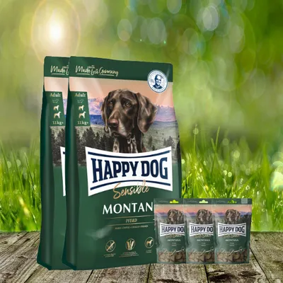 Dog food bags and pouches are displayed on a wooden surface with a blurred green, grassy background and bokeh lights.