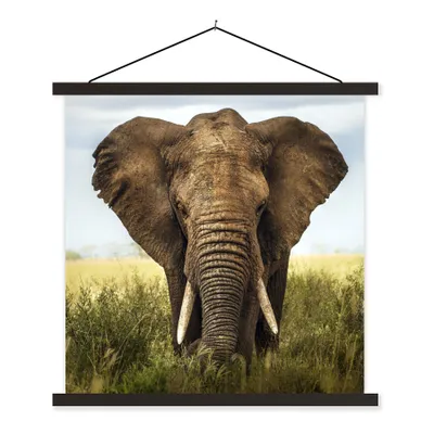 Produktbild von MuchoWow® Textilposter Elefant - Gras - Tiere - Natur 120x120 cm mit schwarzem Rahmen - Aufhängungsset