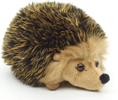 A plush toy hedgehog is shown against a white background.