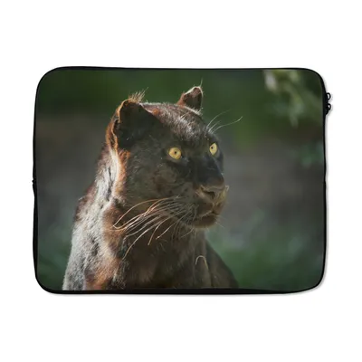 Produktbild von MuchoWow® Laptop Hülle 13 Zoll Panther - Nahaufnahme - Schwarz Laptoptasche - Laptophülle - Sleeve - Rundumschutz