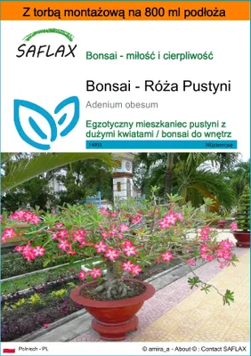 Zdjęcie produktu dla SAFLAX - Garden in the bag - Bonsai - Róża Pustyni - 8 Nasiona - Z podłożem uprawowym w praktycznej, samorozkładającej się torbie - Adenium obesum