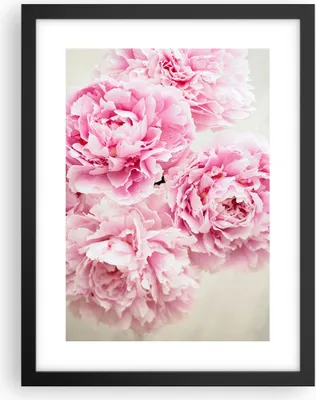 Produktbild von Gerahmtes Poster - Schwarzer Rahmen - Pfingstrosen Blumenstrauß Blumen - 30x40 cm - Wand Bild - Wanddeko - Wandbilder - Kunstposter - Wandposter - Bilderrahmen - Bilder - Kunstdruck - P2BPA30x40-4961