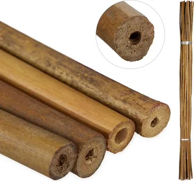 Produktbild von Bambusstäbe 120 cm im 40er Set