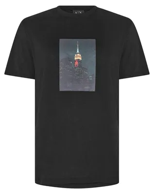Productafbeelding van Armani Exchange - T-shirt voor heren, katoen, model GT17712 (maat L) (zwart)