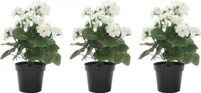 Produktbild von Kunst-Blume Geranie stehend 3 Stück weiß