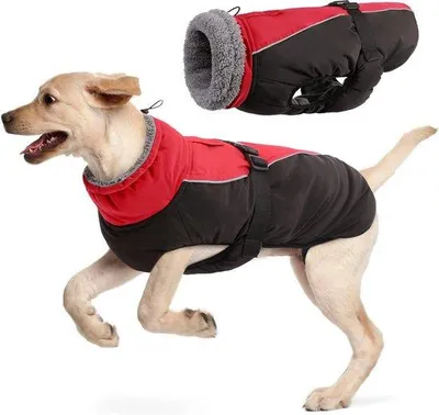 Productafbeelding van Famanu winterjas voor honden, waterdicht, warm met reflecterende strepen - geschikt voor kleine en middelgrote honden