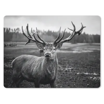 Produktbild von MuchoWow® Mauspad Mousepad Tiere - Hirsch - Geweih - Schwarz und weiß - Natur 40x30 cm - Mousepads - Maus Mat - Pad - Mausunterlage - Anti Rutsch