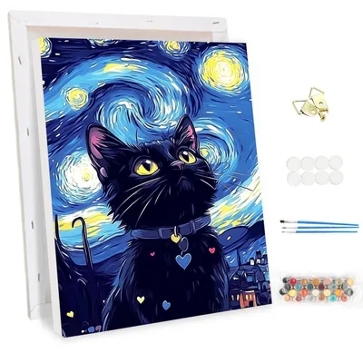 Obrázek produktu pro Sada pro malování podle čísel pro dospělé, s rámem, motiv: Hvězdná noc, Černá kočka, rozměry 30x40 cm