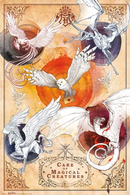 Productafbeelding van MB 53 - Harry Potter - Magische Wezens - Poster, 61x91,5 cm